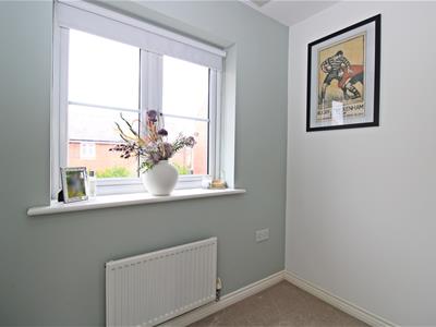 Picture 13